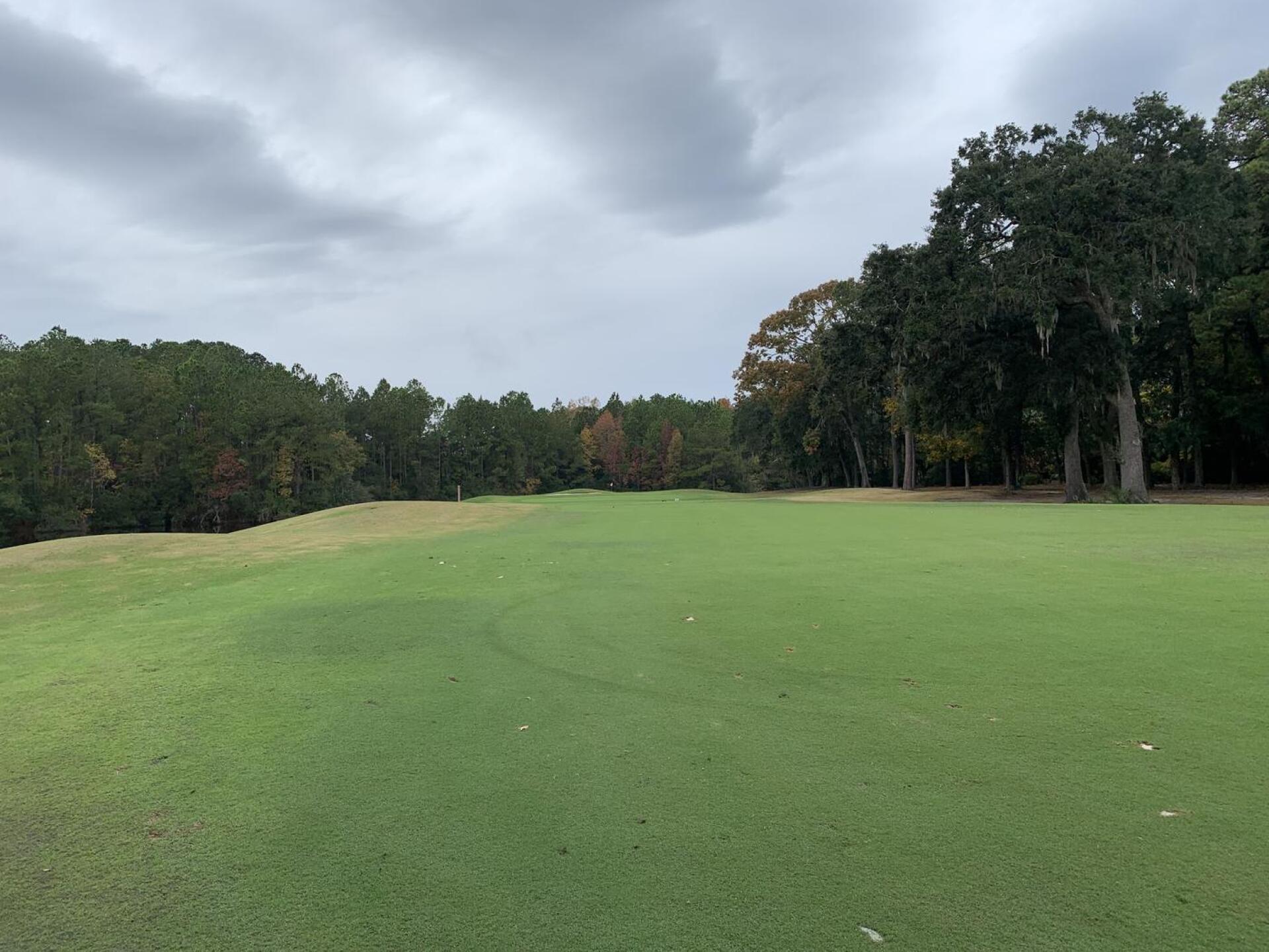 (Photo submitted by u1088930758 on 12/09/2022)