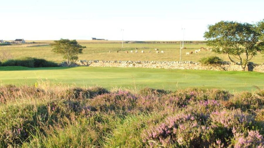 Orkney GC
