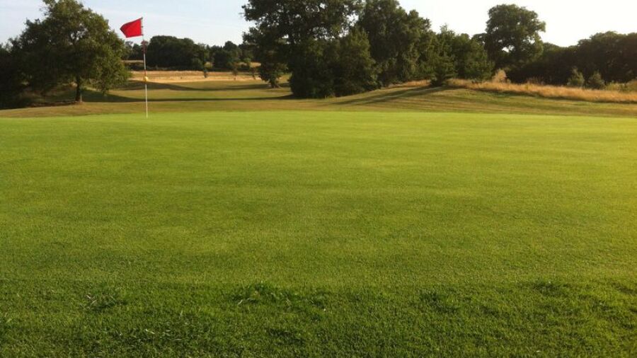 Olonnes GC: #10