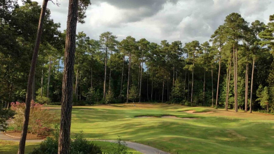 Bayonet at Puppy Creek: #14