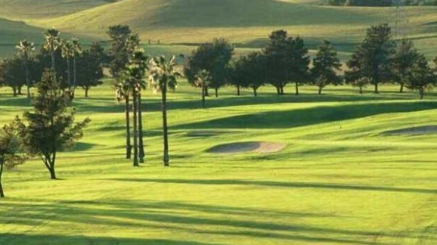 Palm at Sunol Valley GC: #12