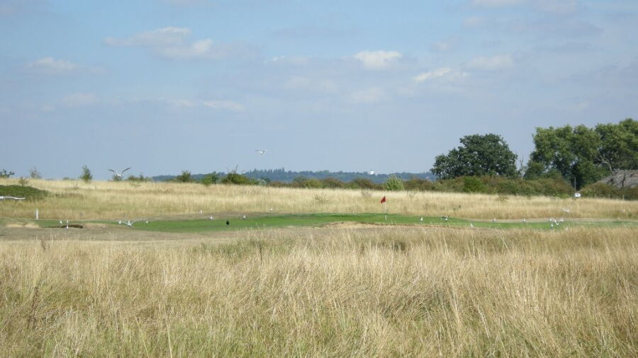 Fairlop Waters GC