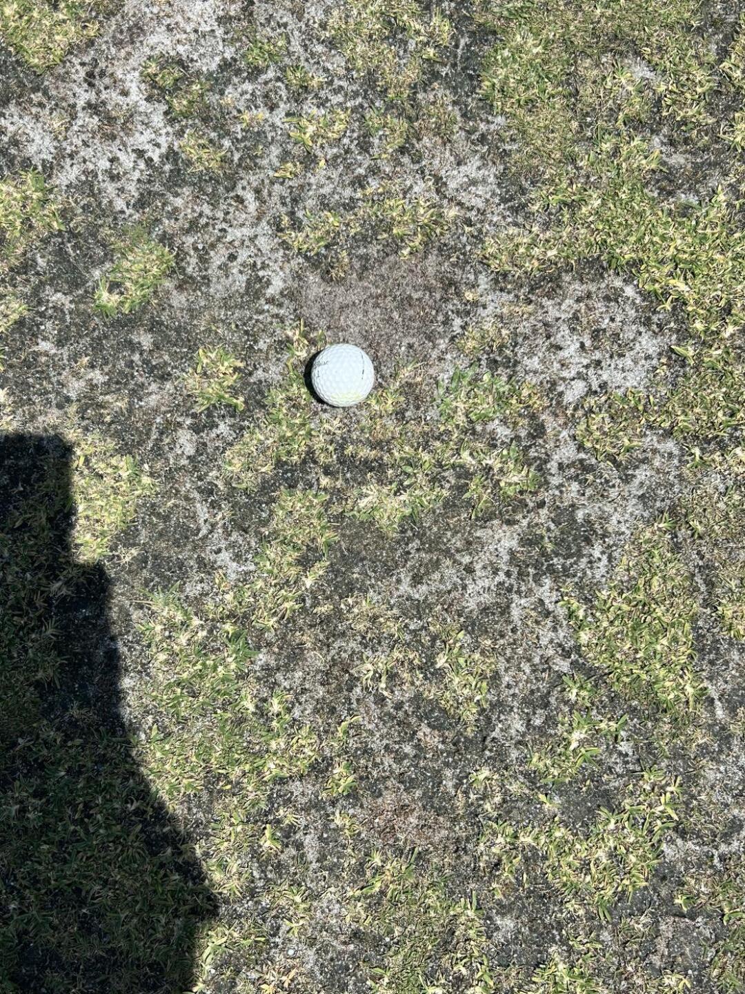 NO Grass on greens (Photo submitted by brianrquinn on 04/13/2026)