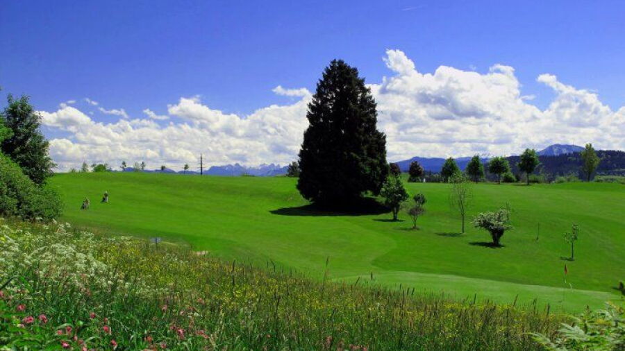Hellengerst GC: #1