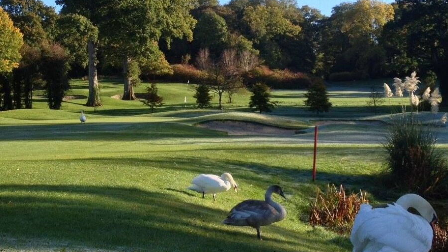 Rathsallagh GC: #10
