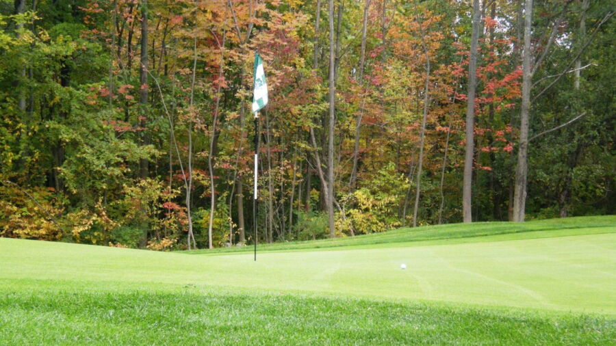 Cobblestone Creek CC