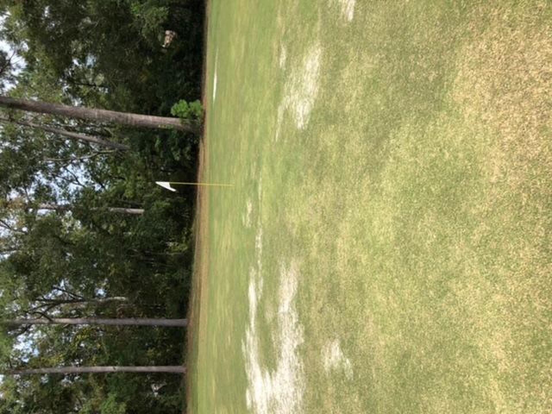 Typical condition of greens (Photo submitted by ewallers on 10/26/2019)