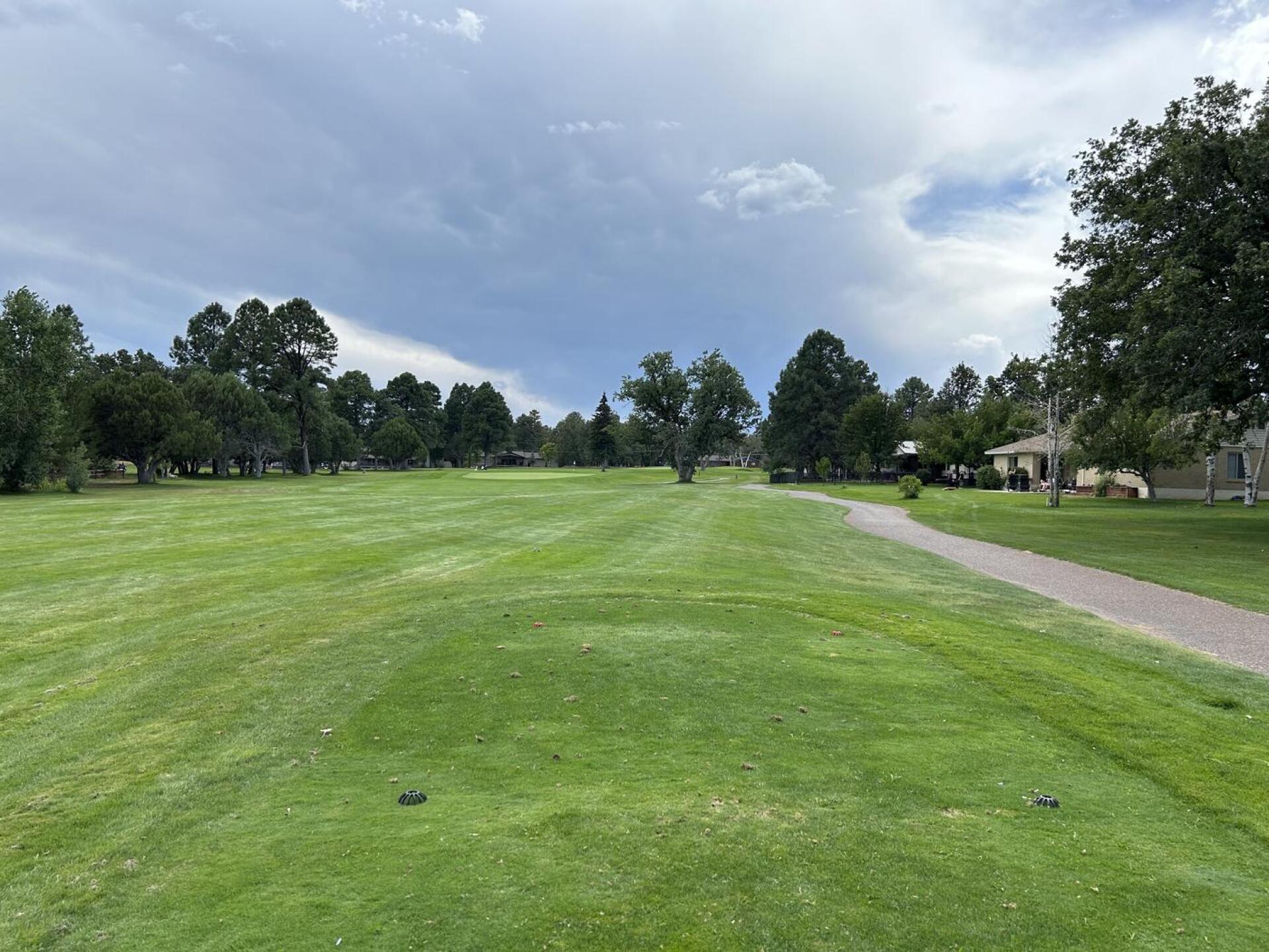 (Photo submitted by gn15478033 on 09/06/2024)