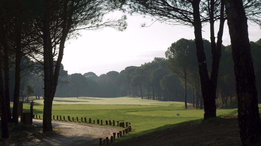Cornelia GC