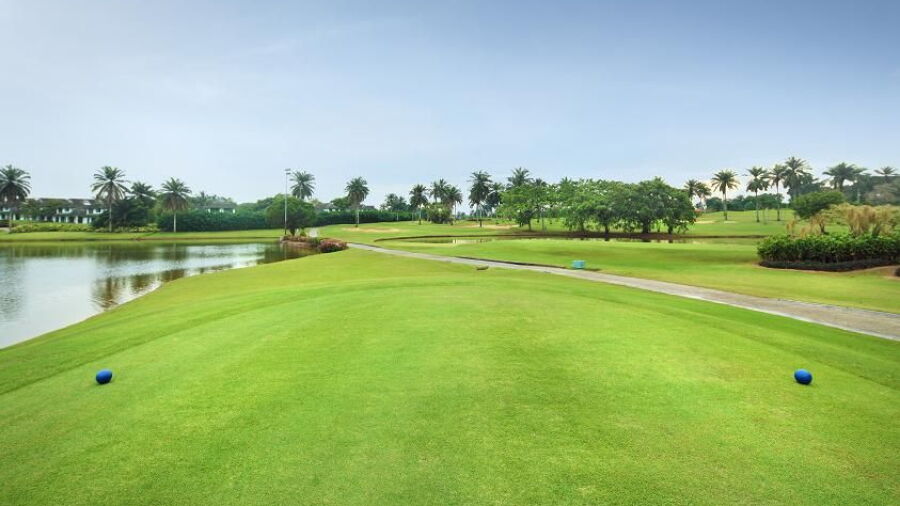 Tanjung Puteri GCC - Plantation: #8