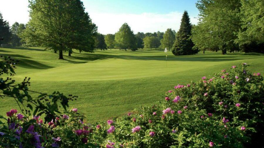White at Willow Creek GC: #2