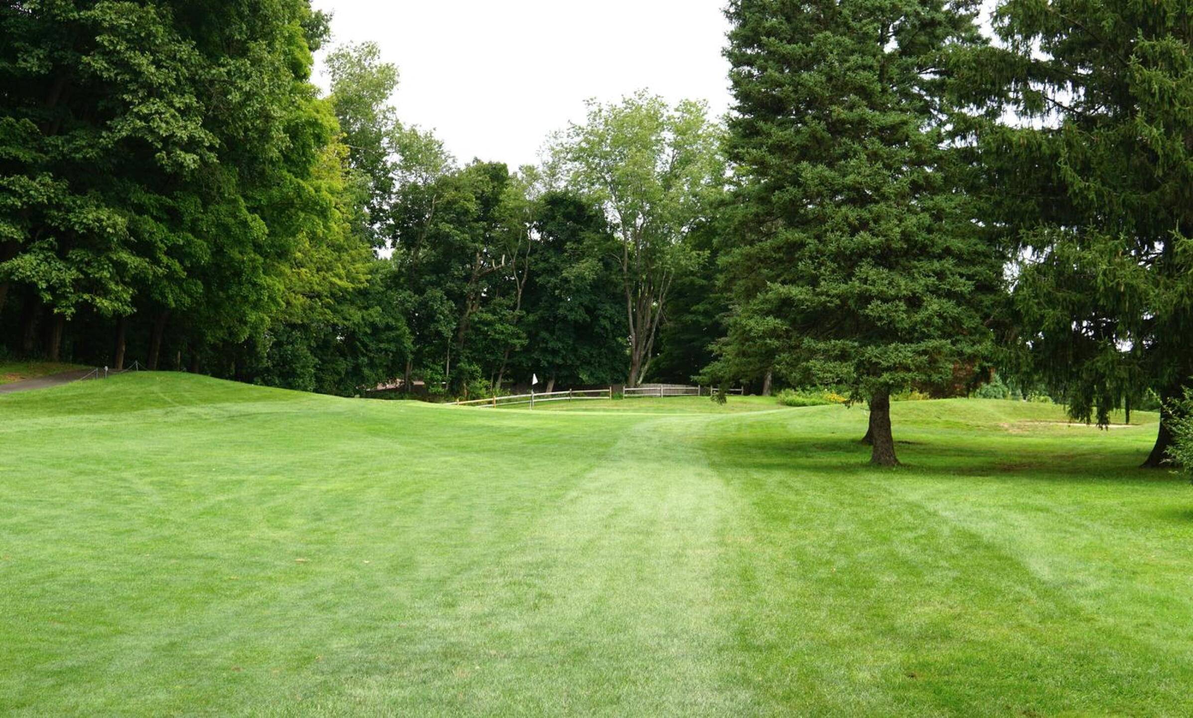 Short but threatening, the narrow sixth hole is a test of accuracy. Here is a view of the approach to the green. (Photo submitted by AptlyLinked on 08/20/2024)