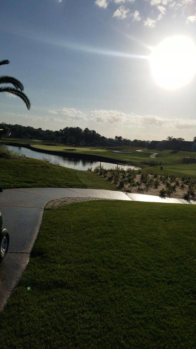 (Photo submitted by u866879201 on 03/24/2020)