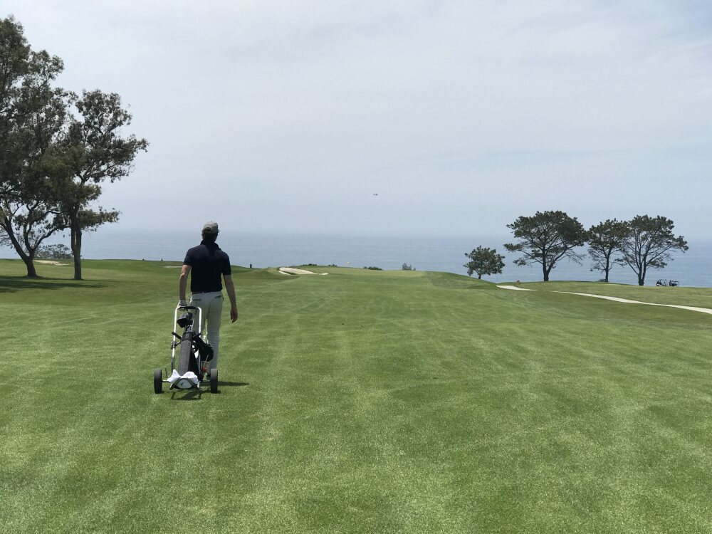 Torrey Pines North