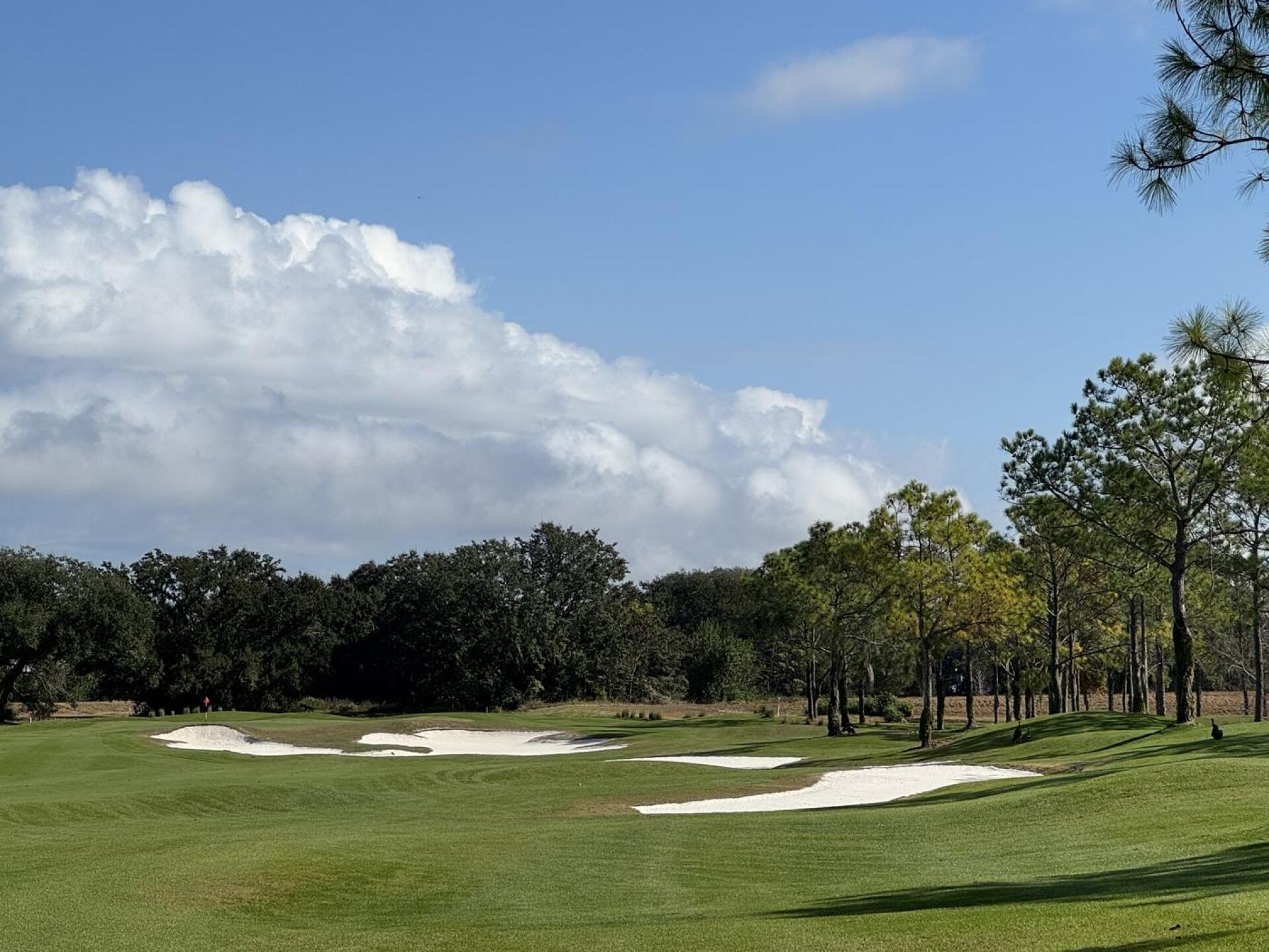 (Photo submitted by GRIPnRIPnSINKit on 01/29/2026)