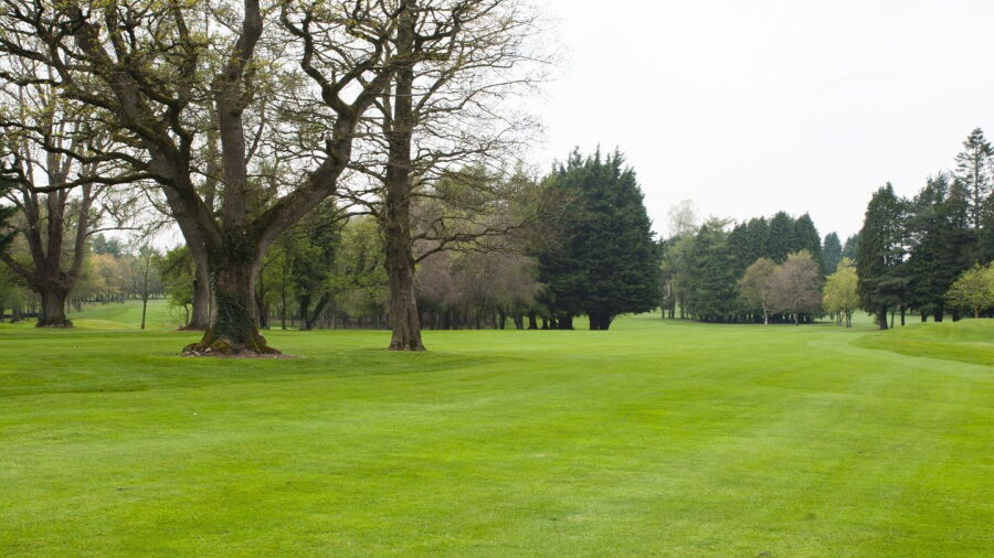 Royal Tara GC