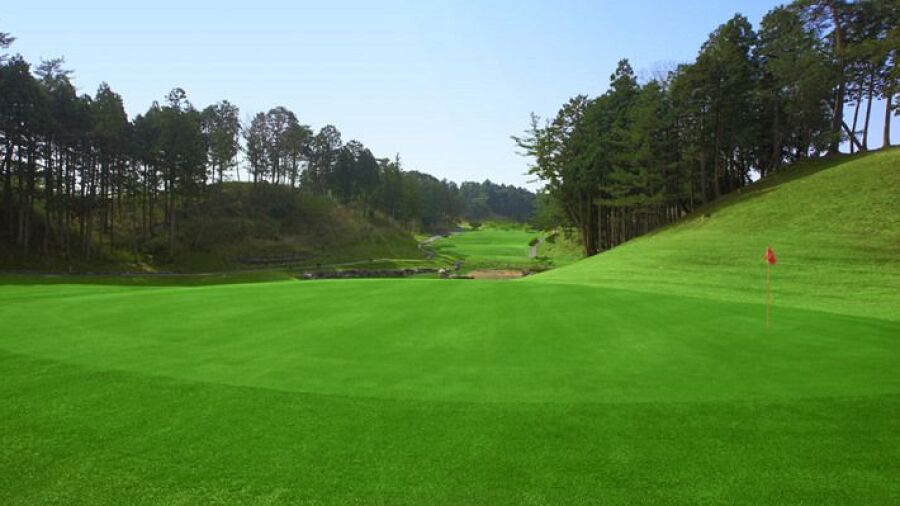 Shiga GC: #8
