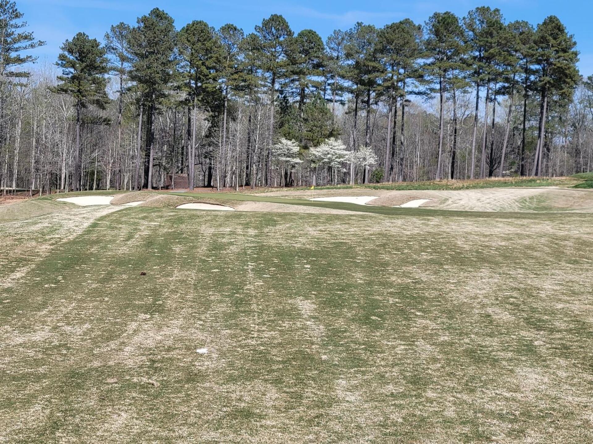 (Photo submitted by u5345826 on 04/13/2022)