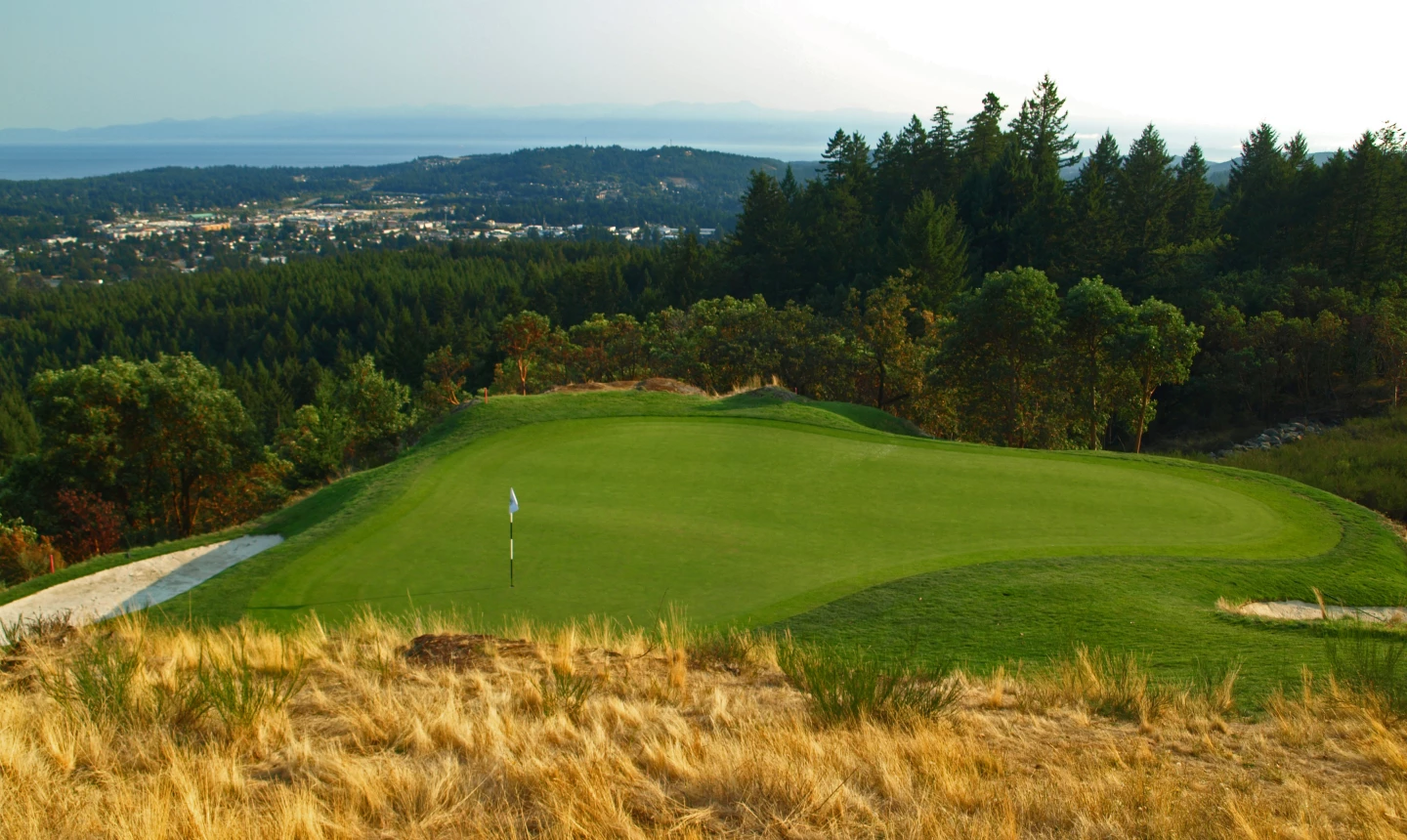 Bear Mountain Resort - Mountain Course - 14th