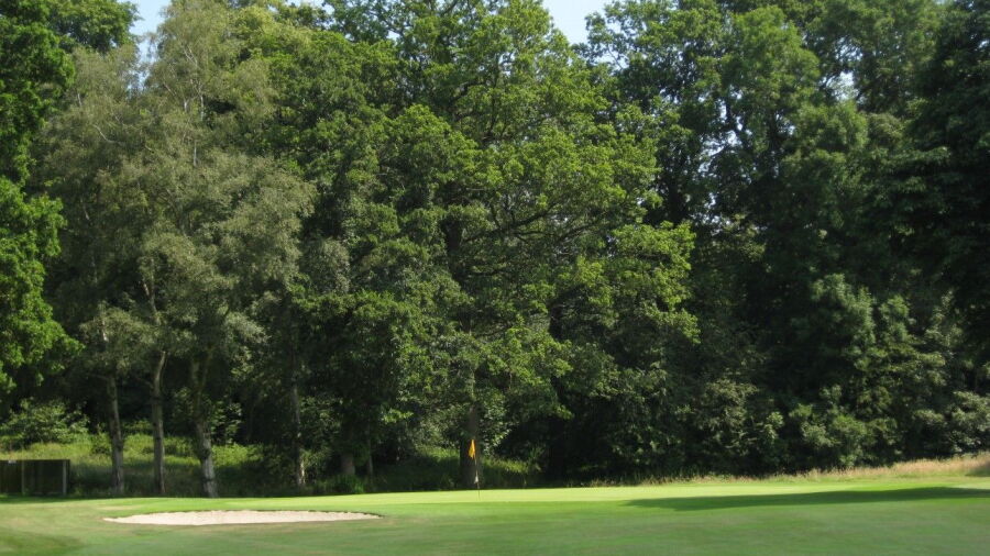Henlle Park: 8th green