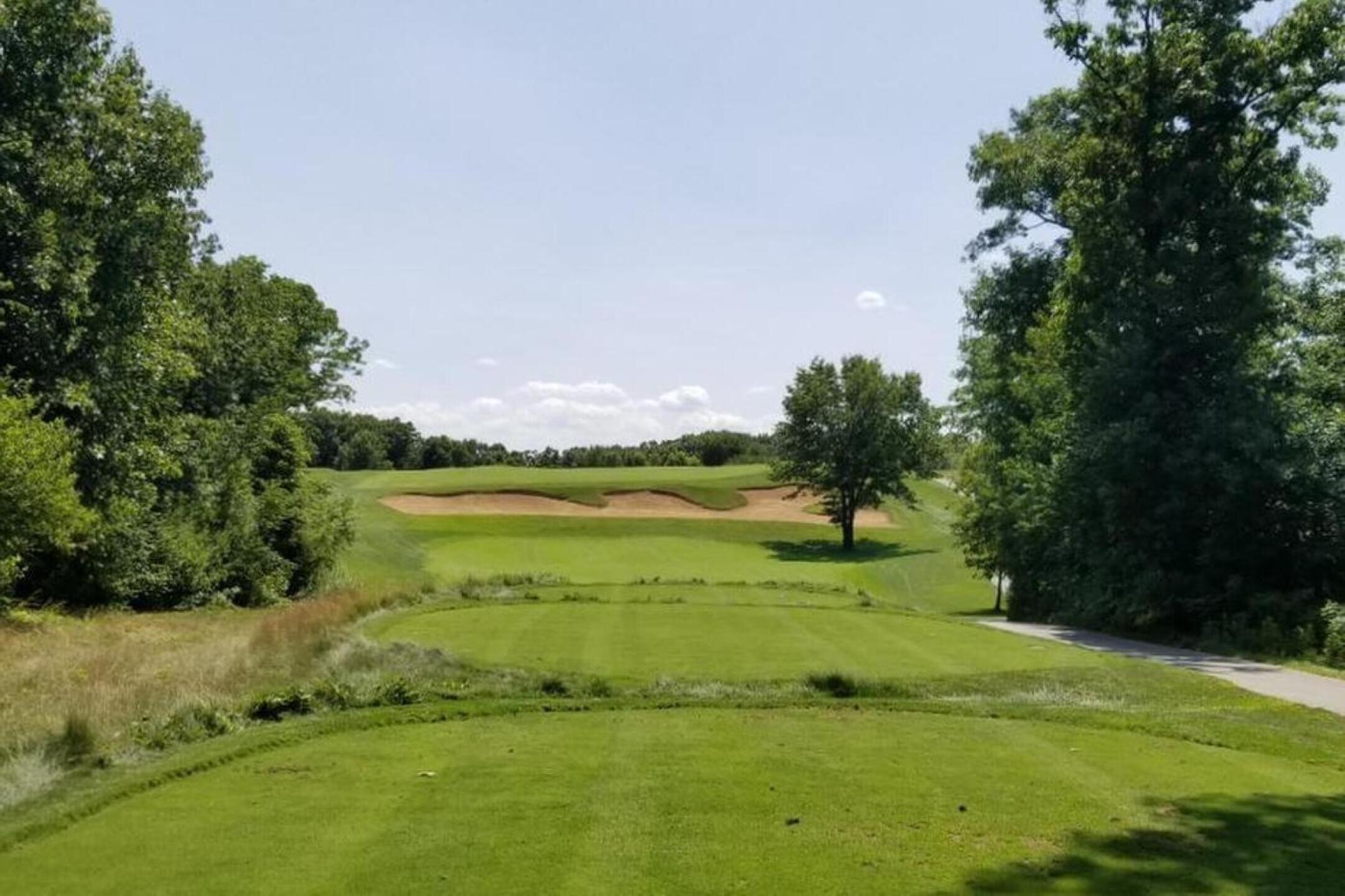 (Photo submitted by CSpring on 08/12/2024)