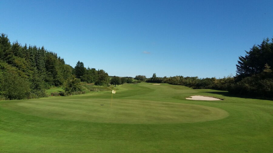 Vennebjerg Golf: #6