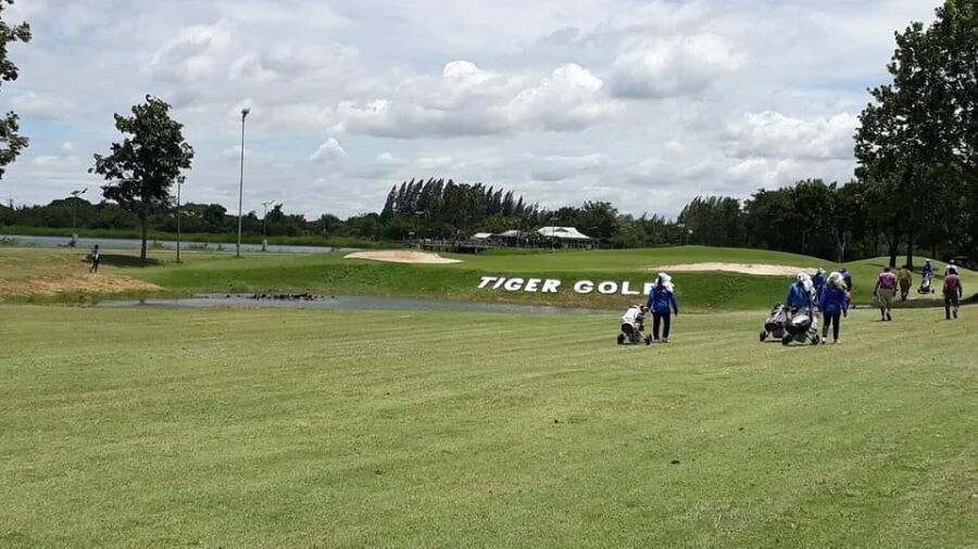 Tiger GC