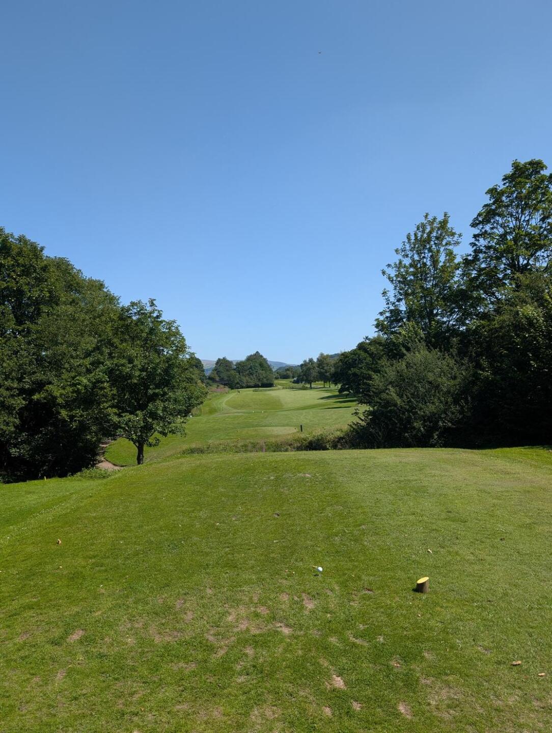 (Photo submitted by u314160083271 on 07/14/2025)