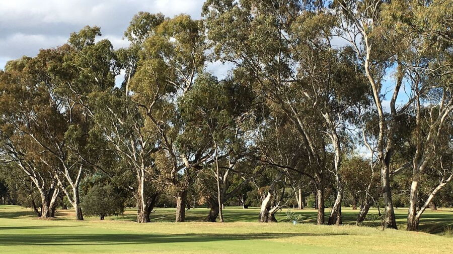Euroa GC