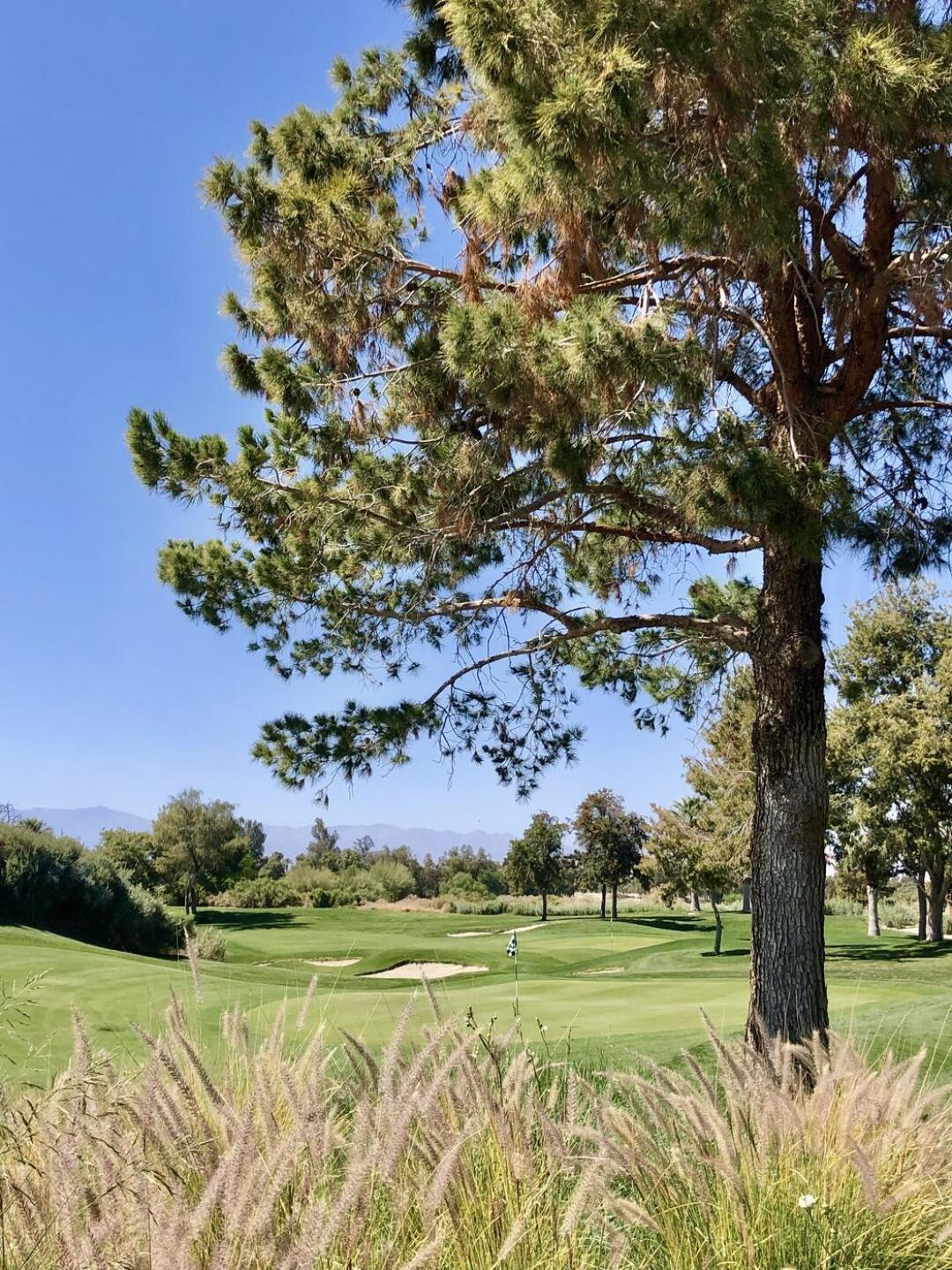 (Photo submitted by uYGIR9367YG on 04/15/2022)