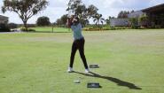 Three Helpful Hybrid Tips