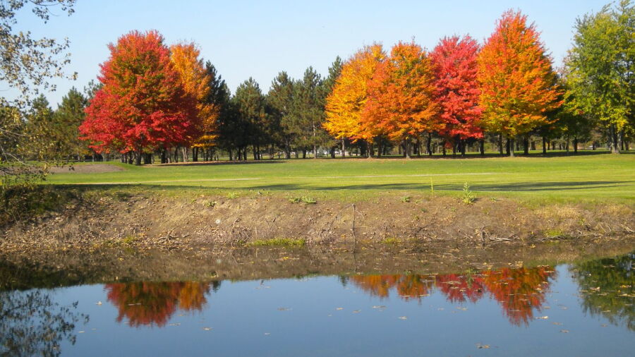 Willow Springs GCC