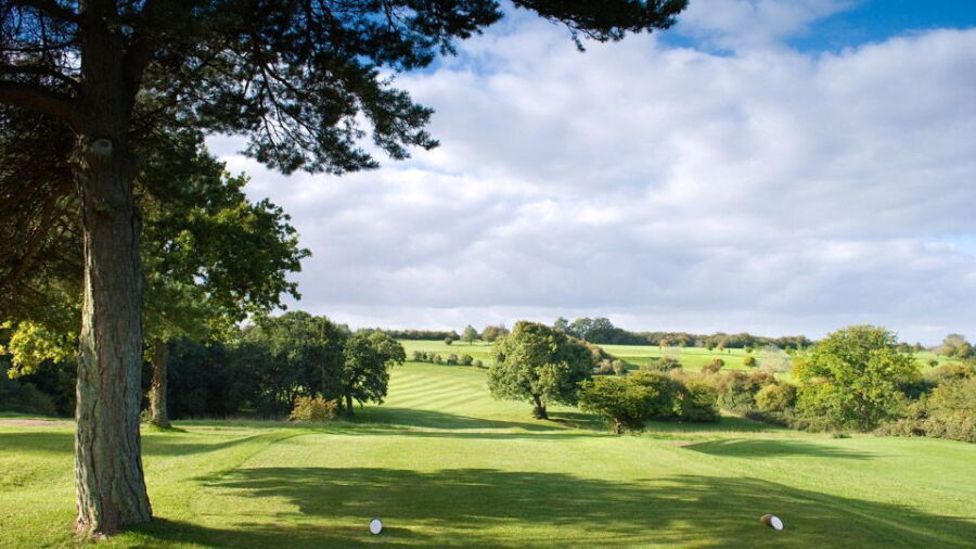 Tall Pines GC: #3