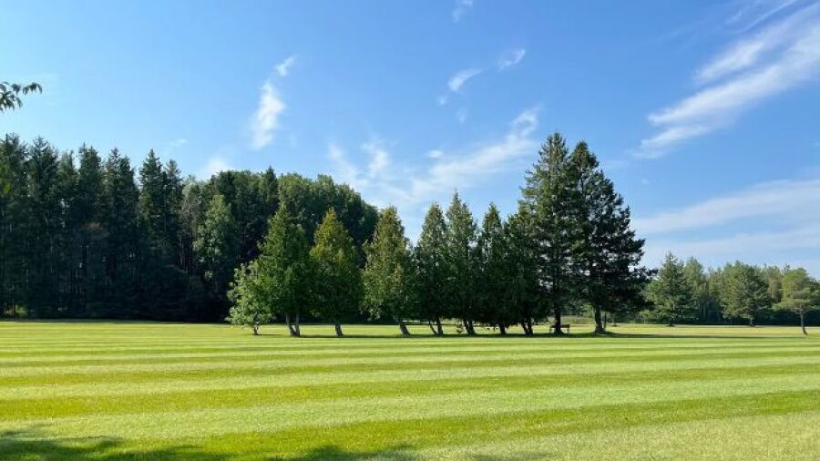 Beeton GCC