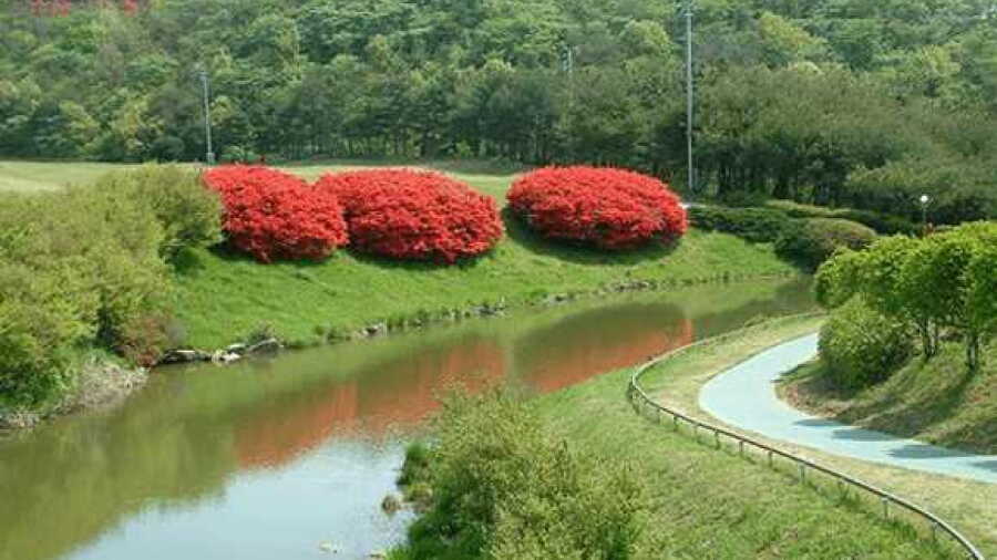 Ulsan CC - East: #9