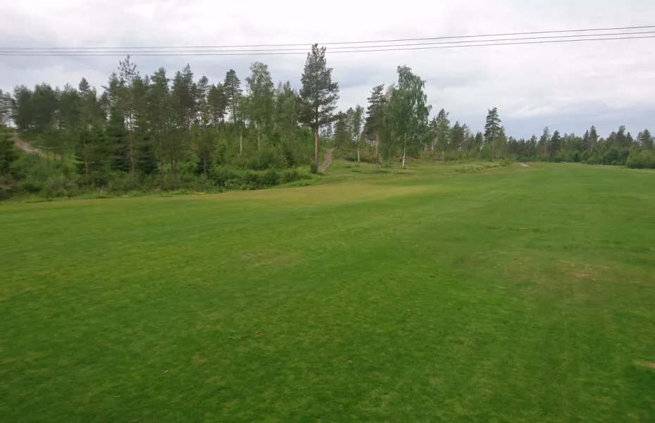 Lulea GC - Bear: #7