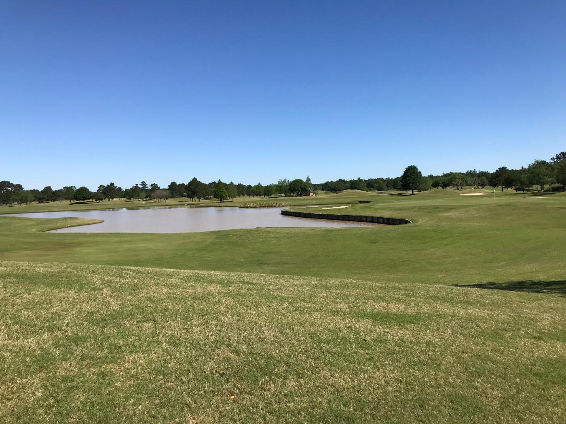 (Photo submitted by Brandon5190657 on 04/21/2019)