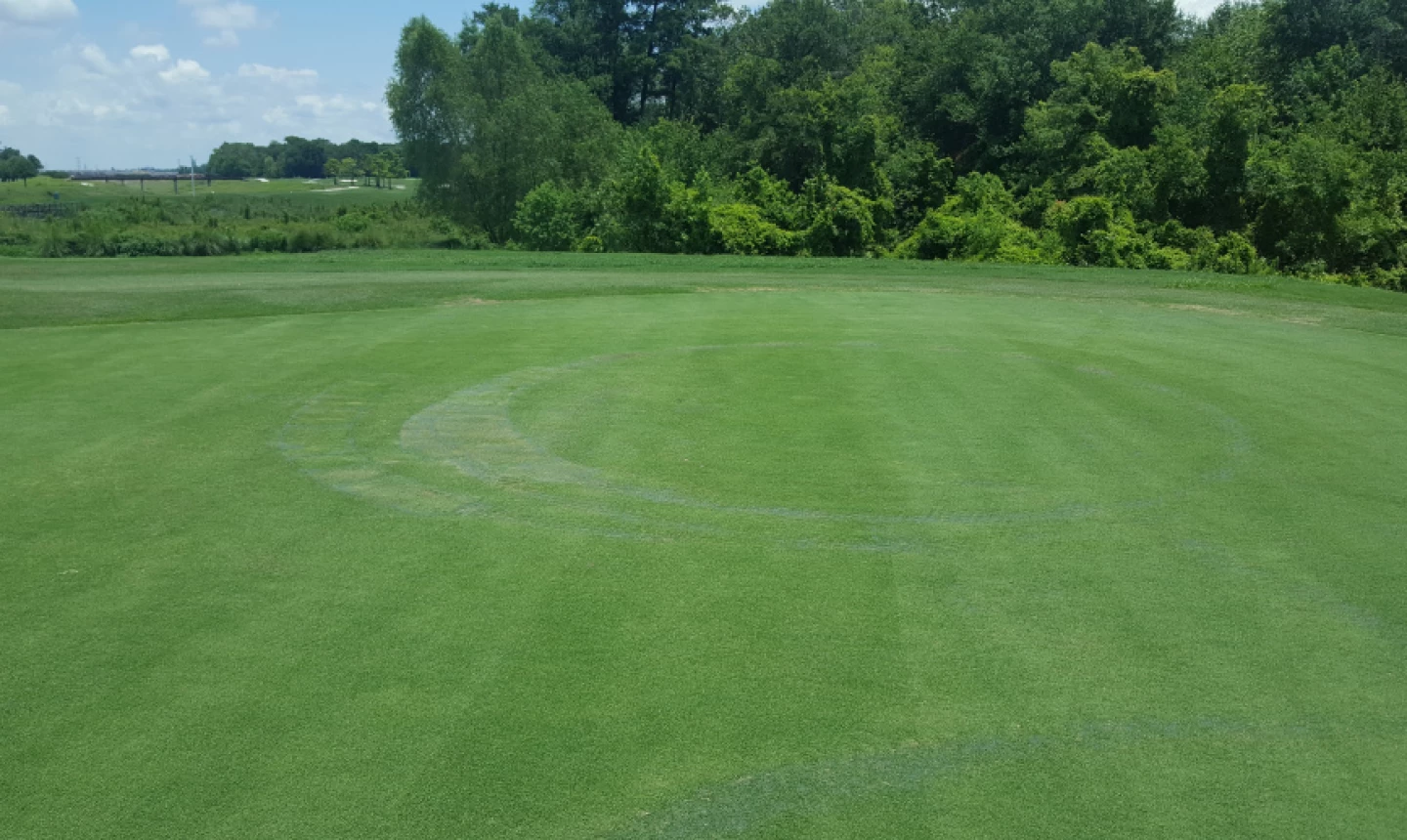 Golf Club of Houston - damage