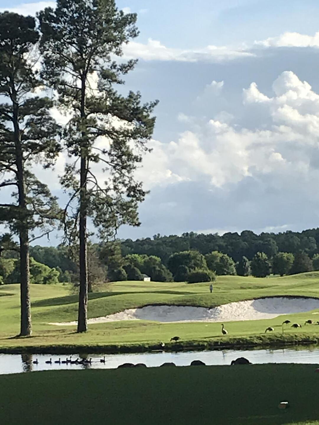 The scenery here and the beauty is the best’ (Photo submitted by Martha6288409 on 06/30/2021)