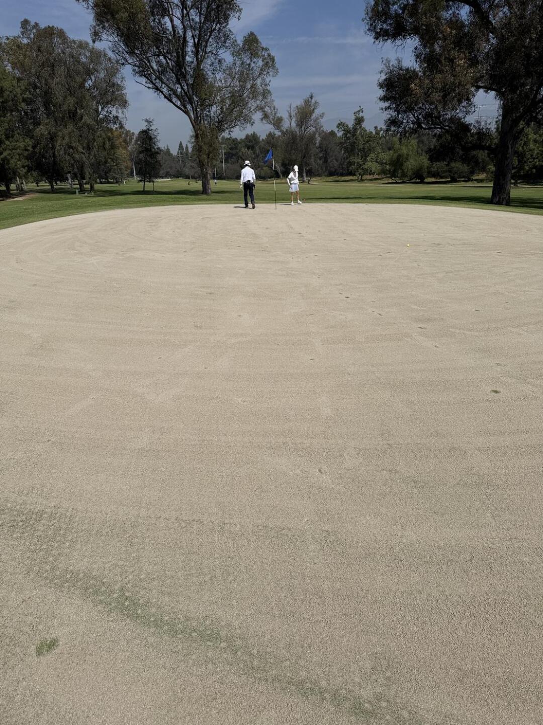 (Photo submitted by djdeez78 on 03/28/2026)