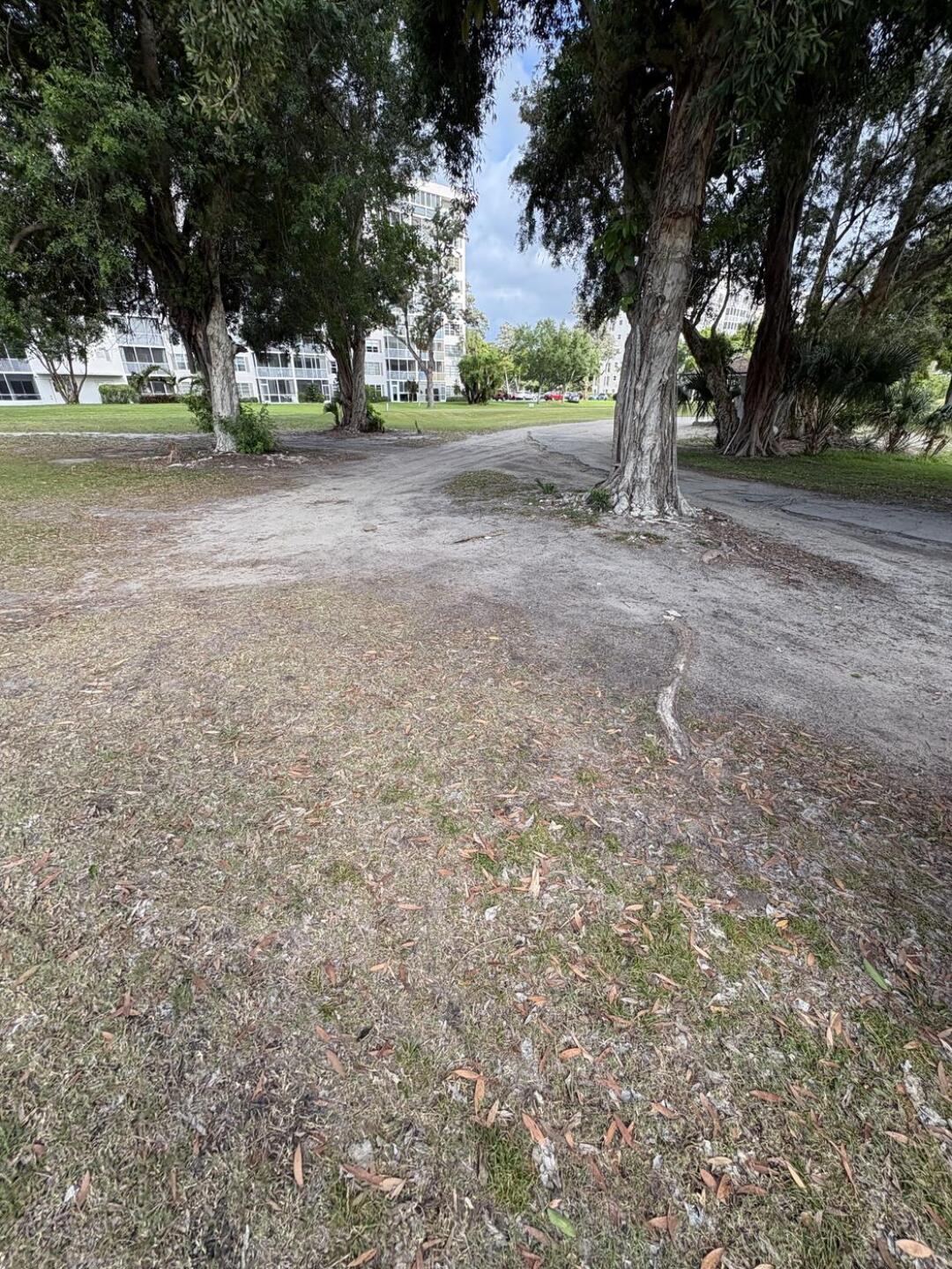 (Photo submitted by Reedsernoff1 on 04/02/2026)