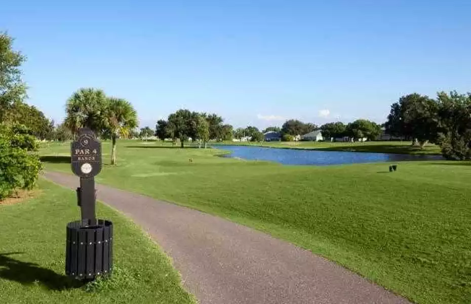 Falcon Watch GC