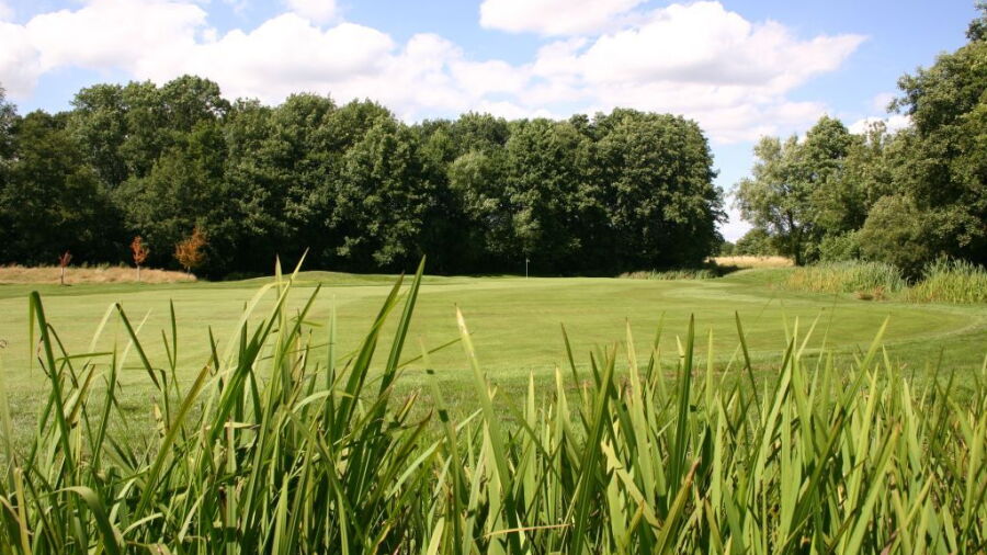 Theale GC