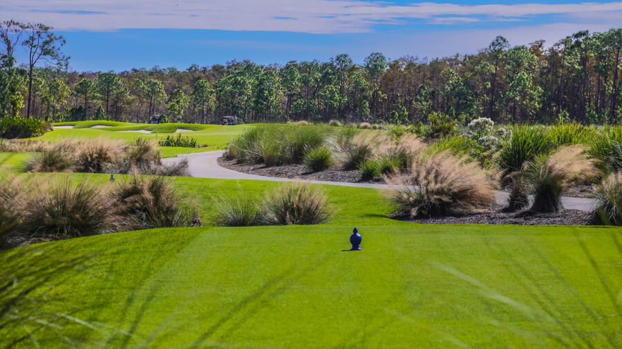 The Plantation GCC