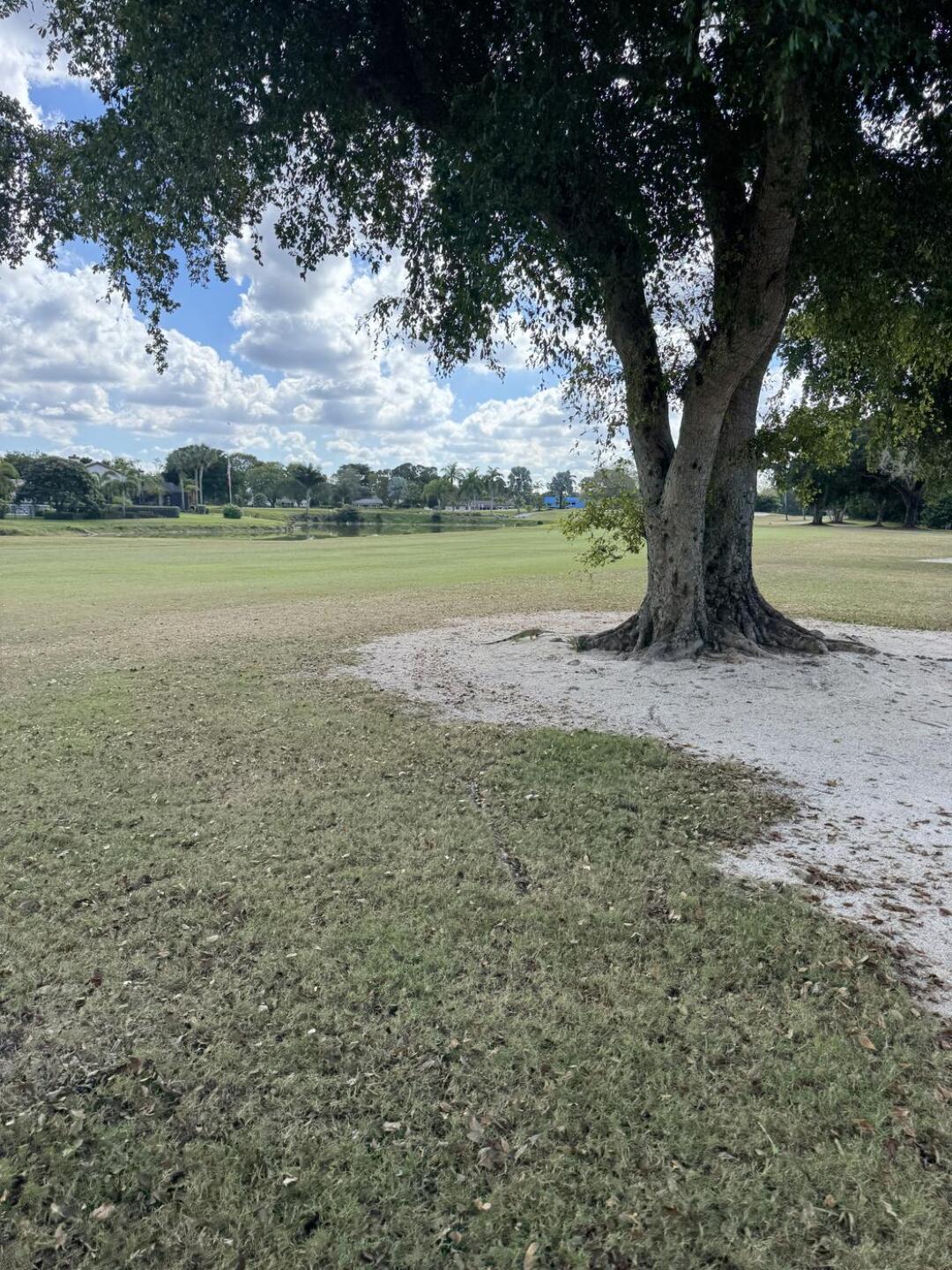 (Photo submitted by Zlatte71 on 01/06/2026)