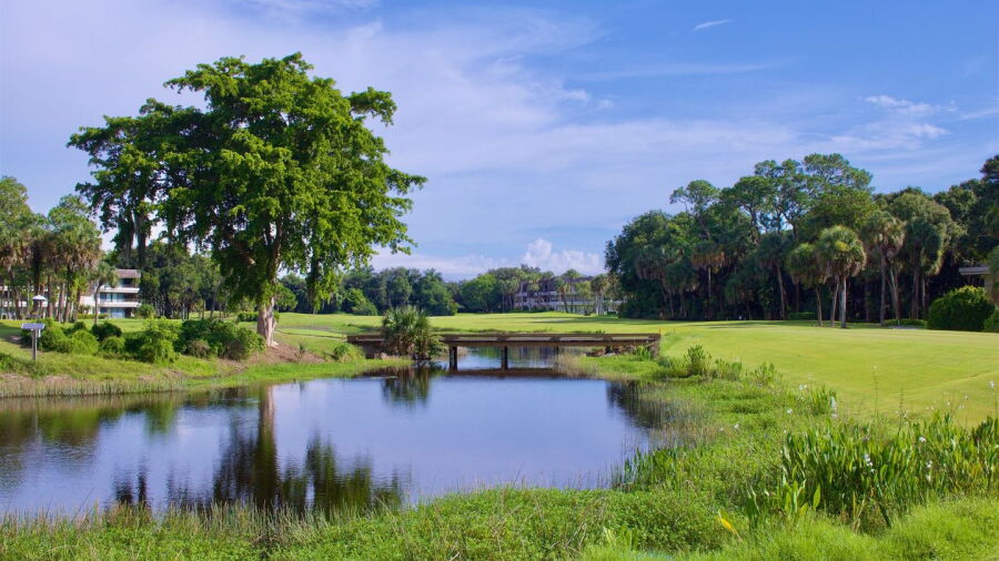 Wilderness CC