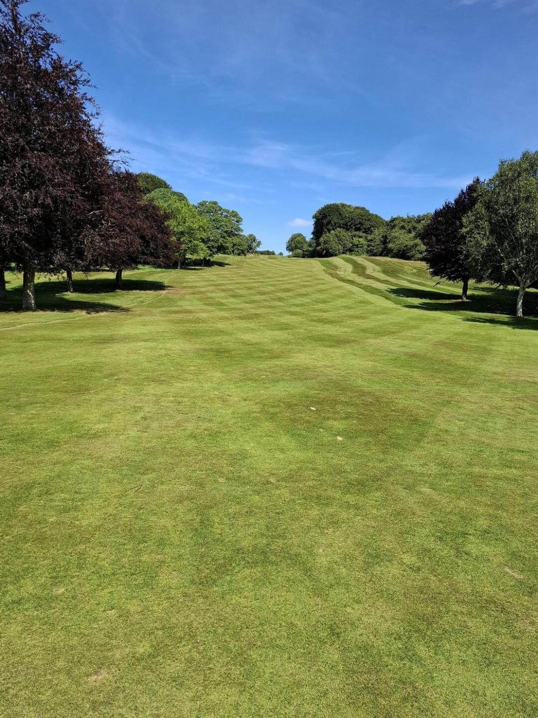 General Picture (Photo submitted by u000004998189 on 07/08/2025)