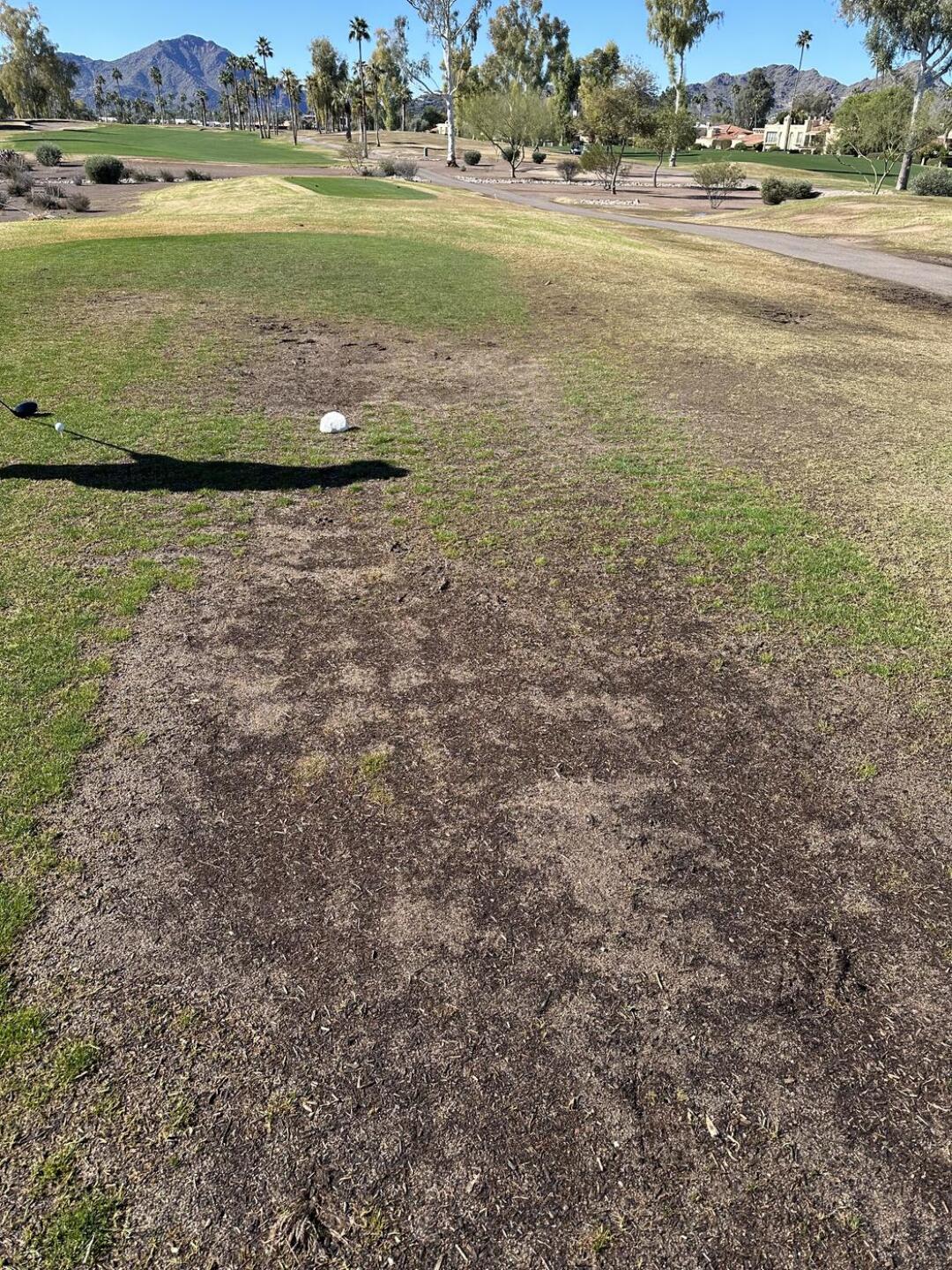 (Photo submitted by Joe1358826 on 02/11/2024)