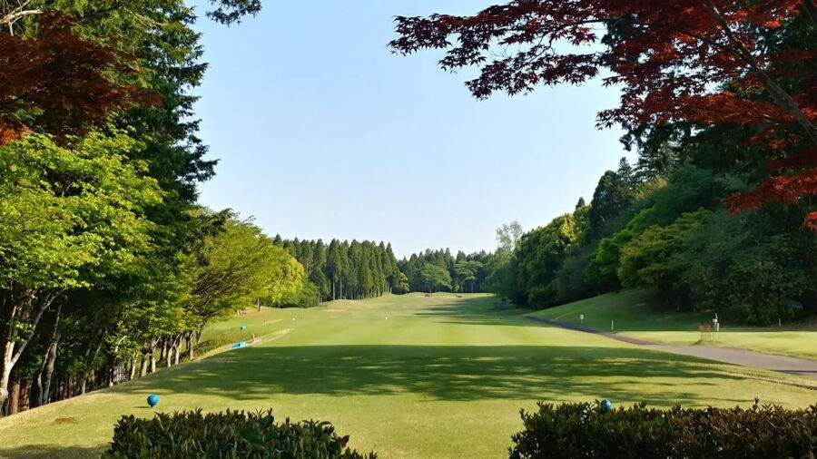 Shinchiba CC - Asagiri: #1