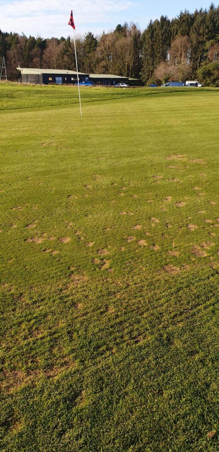 (Photo submitted by 6BYxgtyiPeFu0o679Xf0 on 12/15/2024)